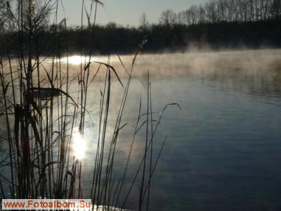 Лебединое озеро - фото 11254