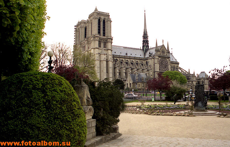 Вид на собор Парижской  Богоматери