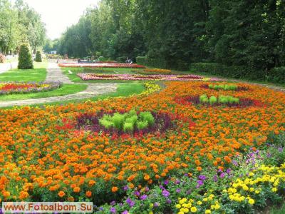 В парке Кузьминки - фото 13576