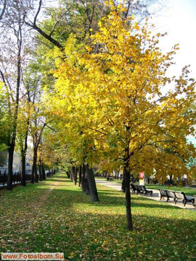 Золотая осень в Москве - фото 14500