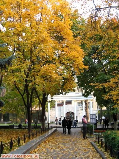 Золотая осень в Москве - фото 14524