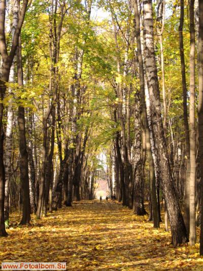 Осенняя прогулка - фото 14925
