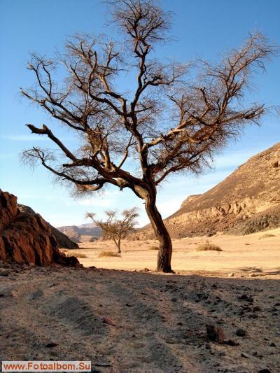 Love Sinai или прогулка в Цветной Каньон - фото 15512