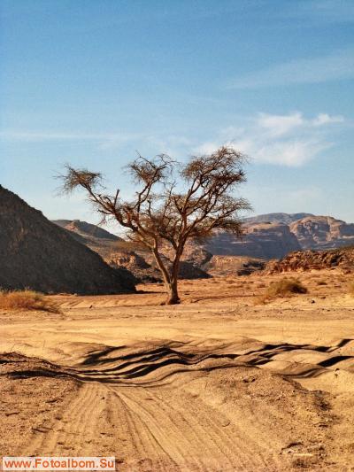 Love Sinai или прогулка в Цветной Каньон - фото 15513