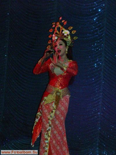 Таиланд. Шоу трансвеститов - фото 15686