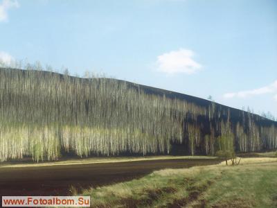 Пейзажи Сибири - фото 16512