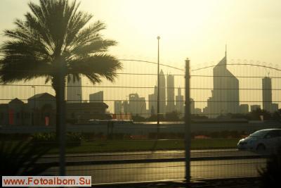Дубаи (ОАЭ) - фото 18725