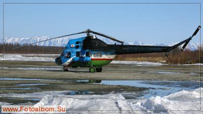 Авиаучёты диких копытных в Якутии - фото 20966