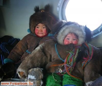Авиаучёты диких копытных в Якутии - фото 20972
