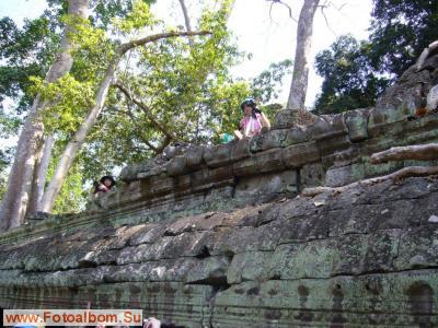 Ангкор, древняя столица Камбоджи. - фото 22162