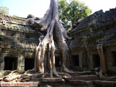 Ангкор, древняя столица Камбоджи. - фото 22172