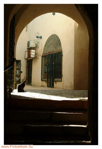 Яффо -  старейший город и порт на Средиземном море. - фото 23325