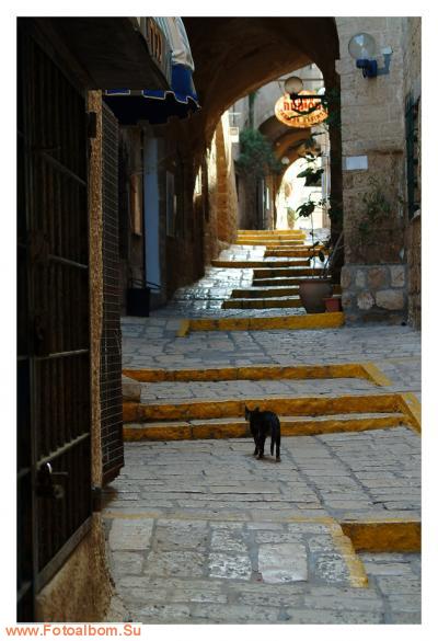 Яффо -  старейший город и порт на Средиземном море. - фото 23326