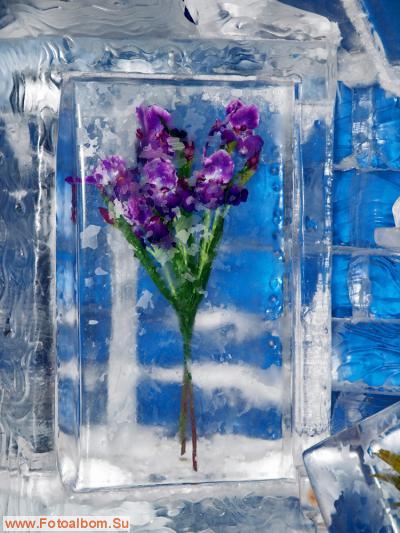 Цветы и лёд - фото 24613