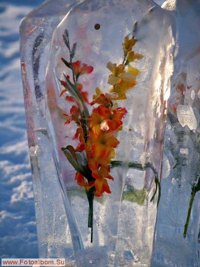Цветы и лёд - фото 24620