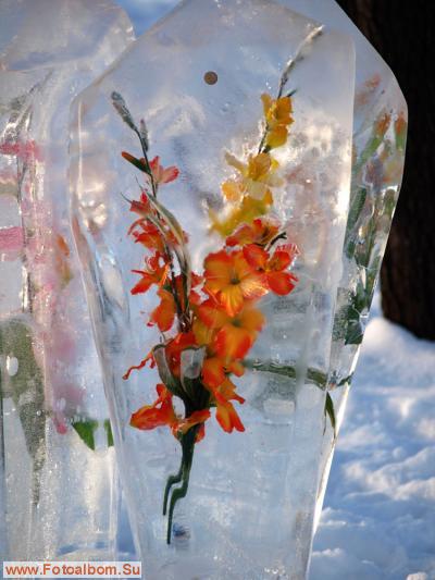 Цветы и лёд - фото 24621