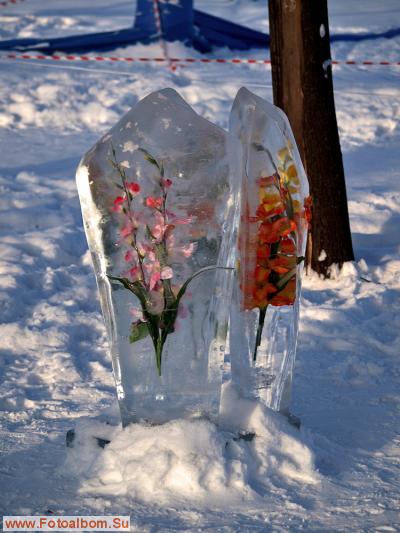 Цветы и лёд - фото 24622