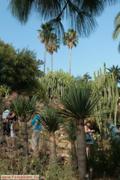 Бланес. Ботанический сад Маримутра - фото 26815