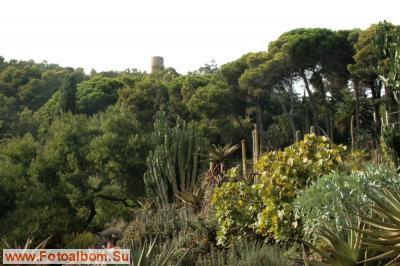 Бланес. Ботанический сад Маримутра - фото 26819