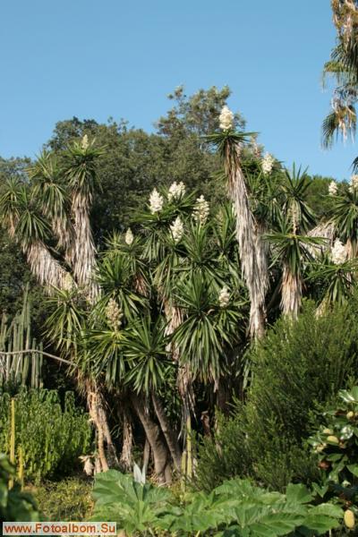 Бланес. Ботанический сад Маримутра - фото 26824