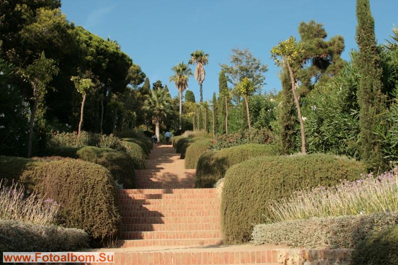 Архитектурной доминантой сада является парадная лестница, обрамленная живыми