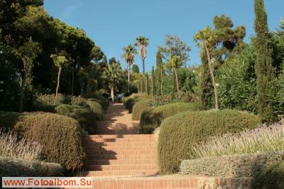 Бланес. Ботанический сад Маримутра - фото 26866