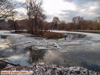 В Воронцовском парке - фото 26978