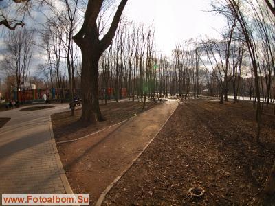 В Воронцовском парке - фото 26982