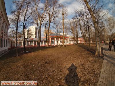 В Воронцовском парке - фото 26983