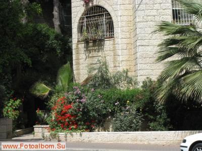 Иерусалим. Цветы и камни - фото 27431