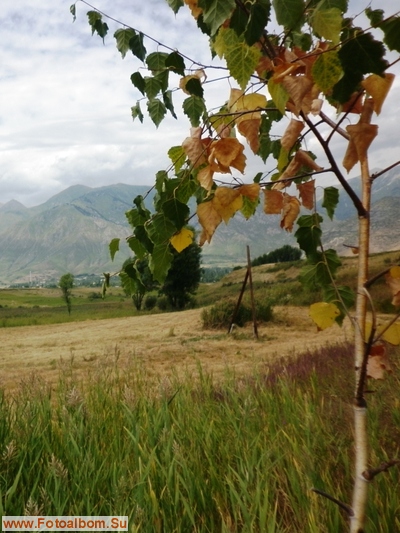 Киргизия, август 2011  - фото 35265