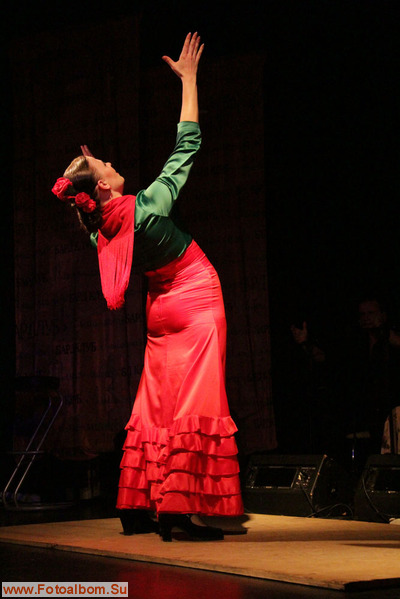 Еще один  вечер фламенко с «Almas del Fuego» - фото 37492