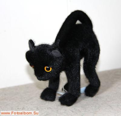 Чёрные кошки - фото 37917
