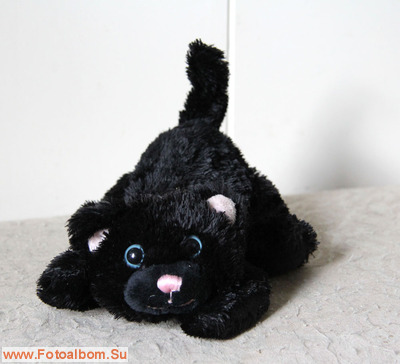 Чёрные кошки - фото 37920