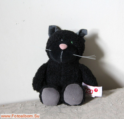 Чёрные кошки - фото 37921