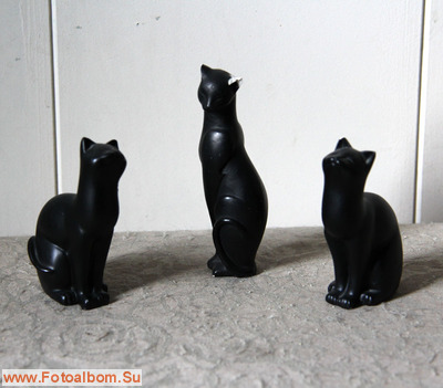 Чёрные кошки - фото 37922