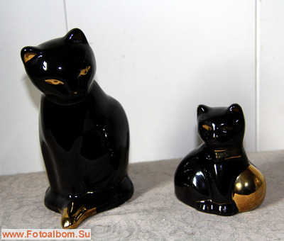 Чёрные кошки - фото 37937