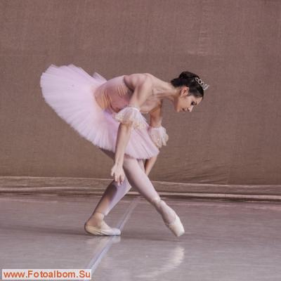 Балет, балет, балет. - фото 39210